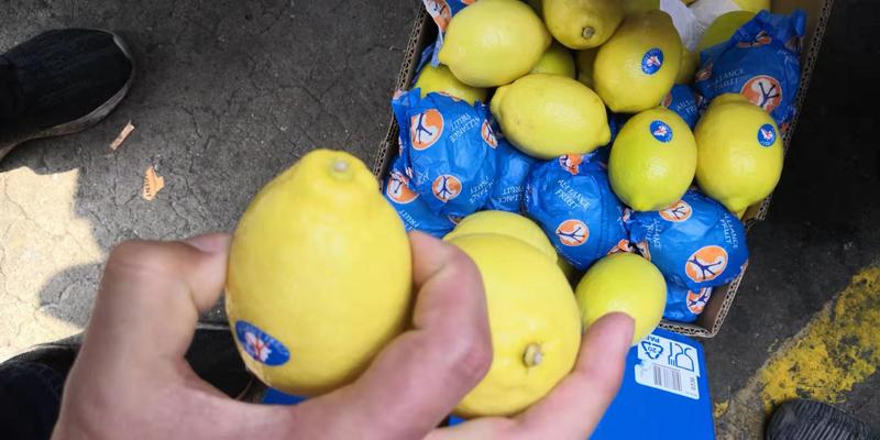 2019年首柜南非檸檬開柜賣350