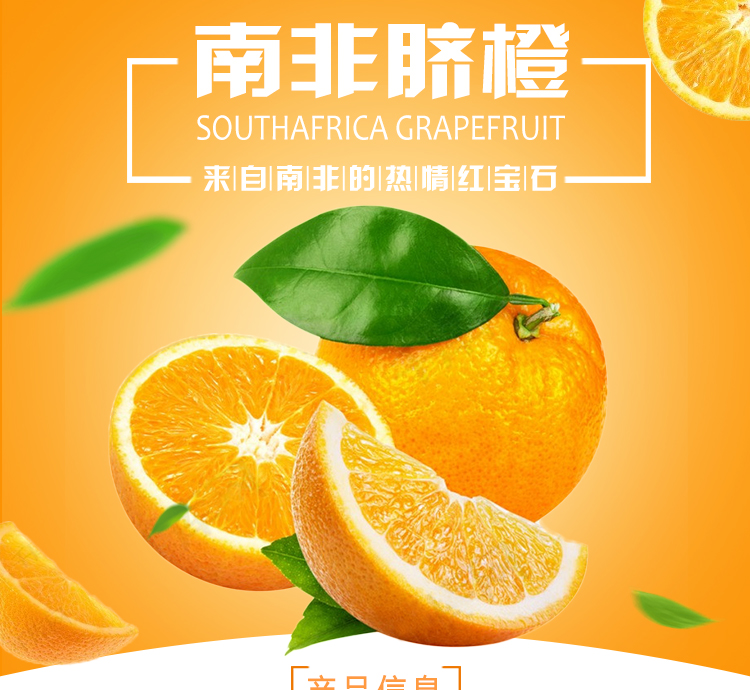 南非CORE晚熟臍橙水果批發