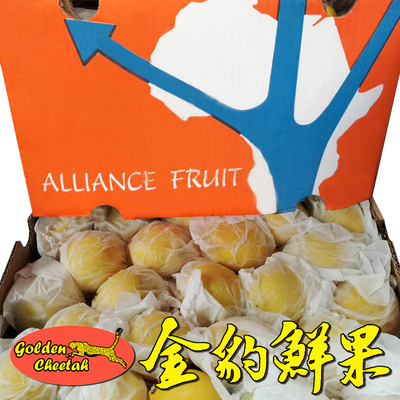 南非Alliance Fruit黃檸檬Eureka