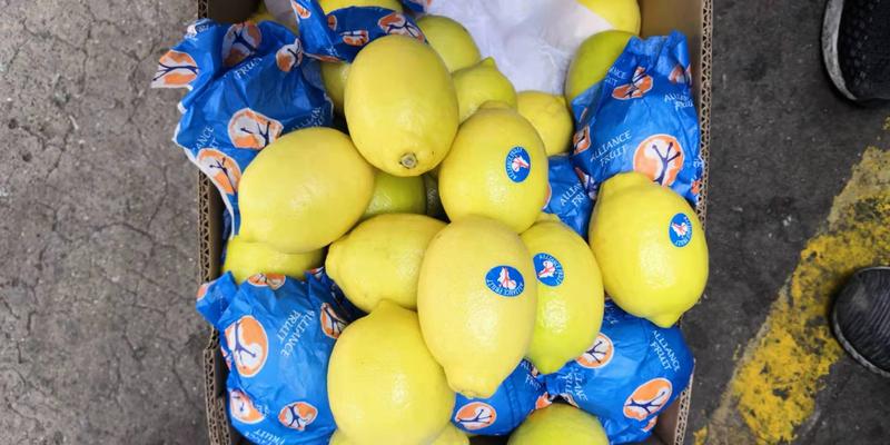 2019年首柜南非檸檬開柜賣350