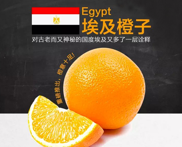 埃及夏橙2_01.jpg