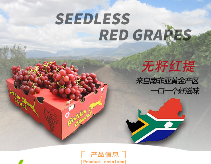 南非金豹Crimson無籽紅提_01.jpg