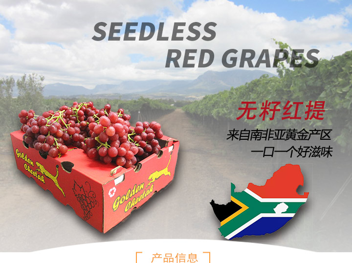 金豹鮮果進口水果批發南非無籽紅提無籽紅葡萄進口水果批發商