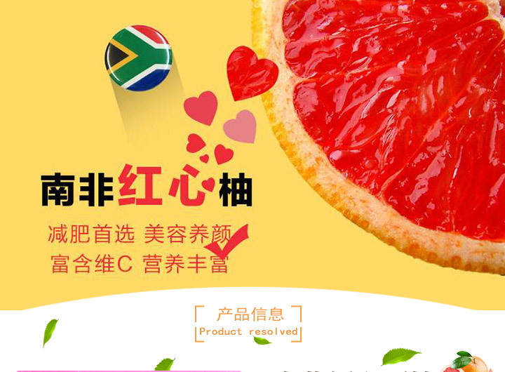金豹鲜果进口水果采购商进口水果批发商南非西柚南非进口西柚