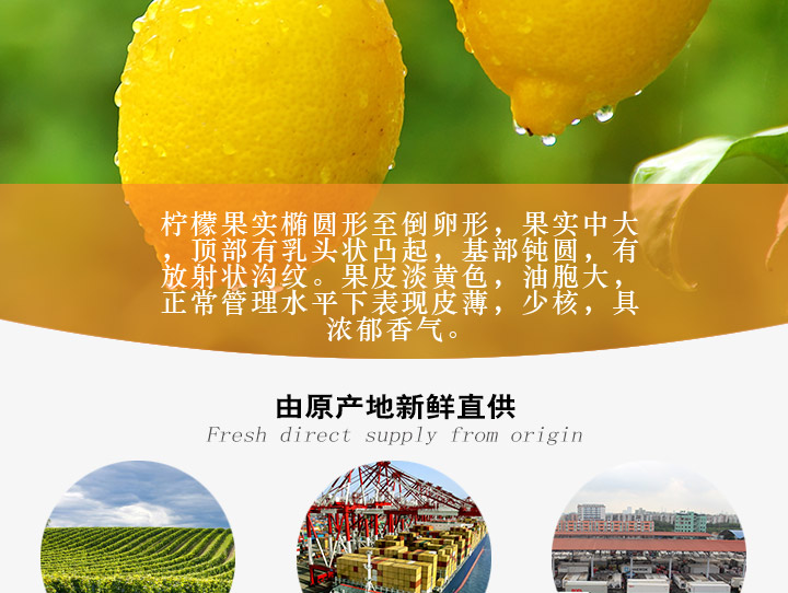 南非钥匙扣柠檬_04.jpg