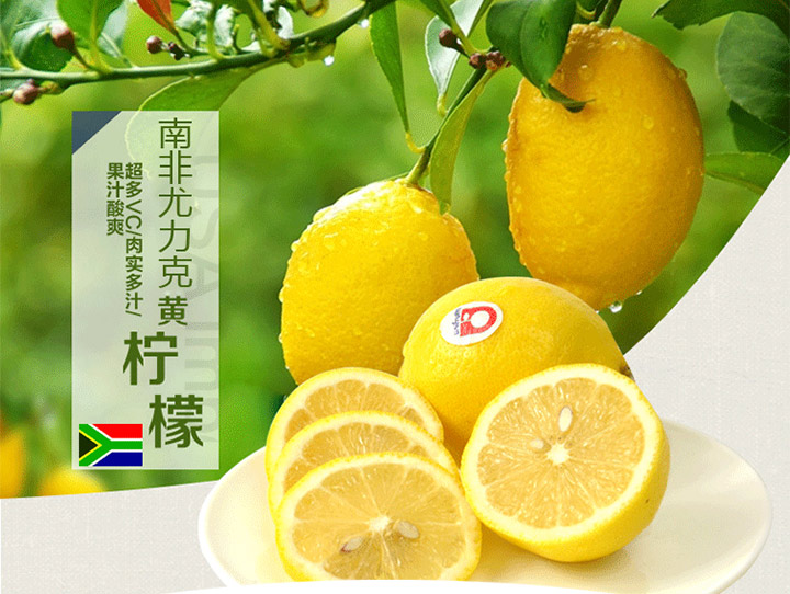 南非钥匙扣柠檬_01.jpg