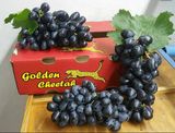 集果軒葡萄類重點開發產品--無籽黑提