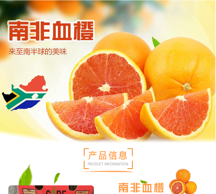 南非原装高档进口水果血橙货源30斤红肉橙红心橙奶茶店专用鲜果