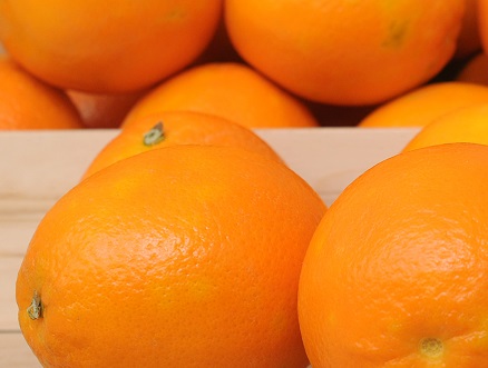  美國加州柑橘正式解禁：今年年底美國臍橙將重入中國