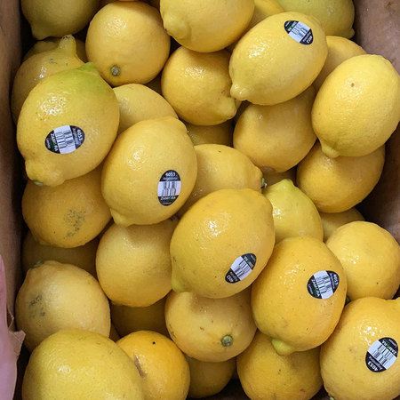 阿根廷黄柠檬15公斤原装 进口鲜果批发货源